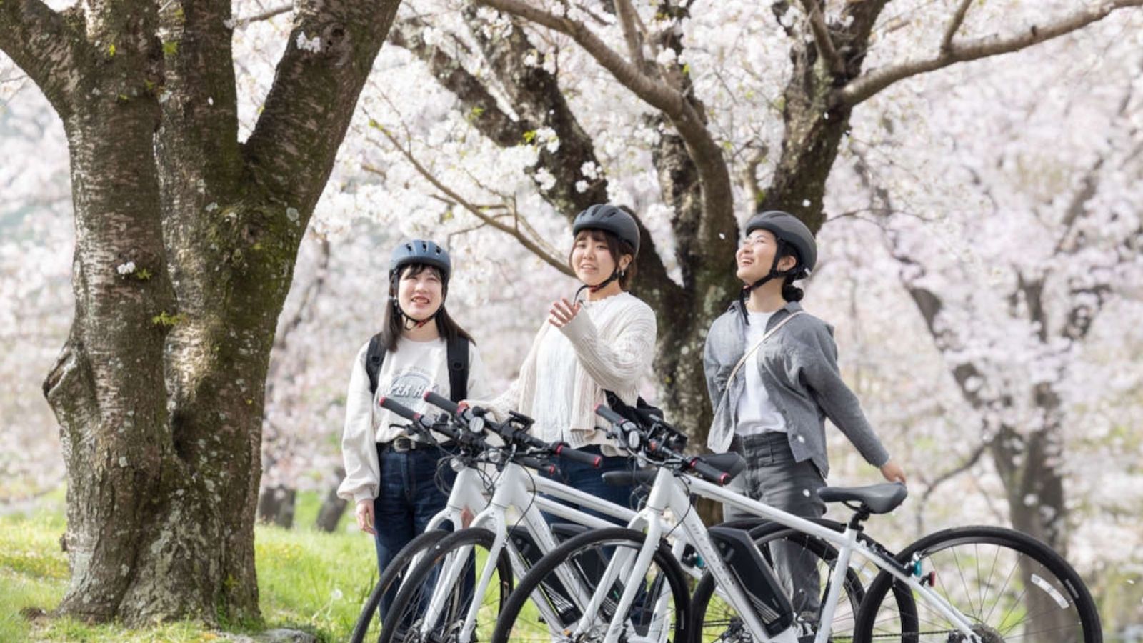 サイクリング