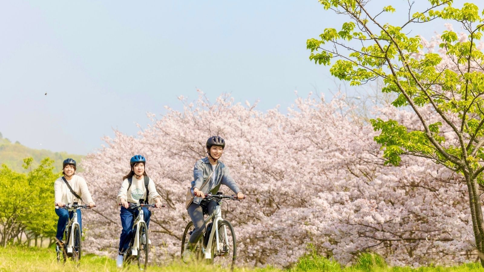 サイクリング