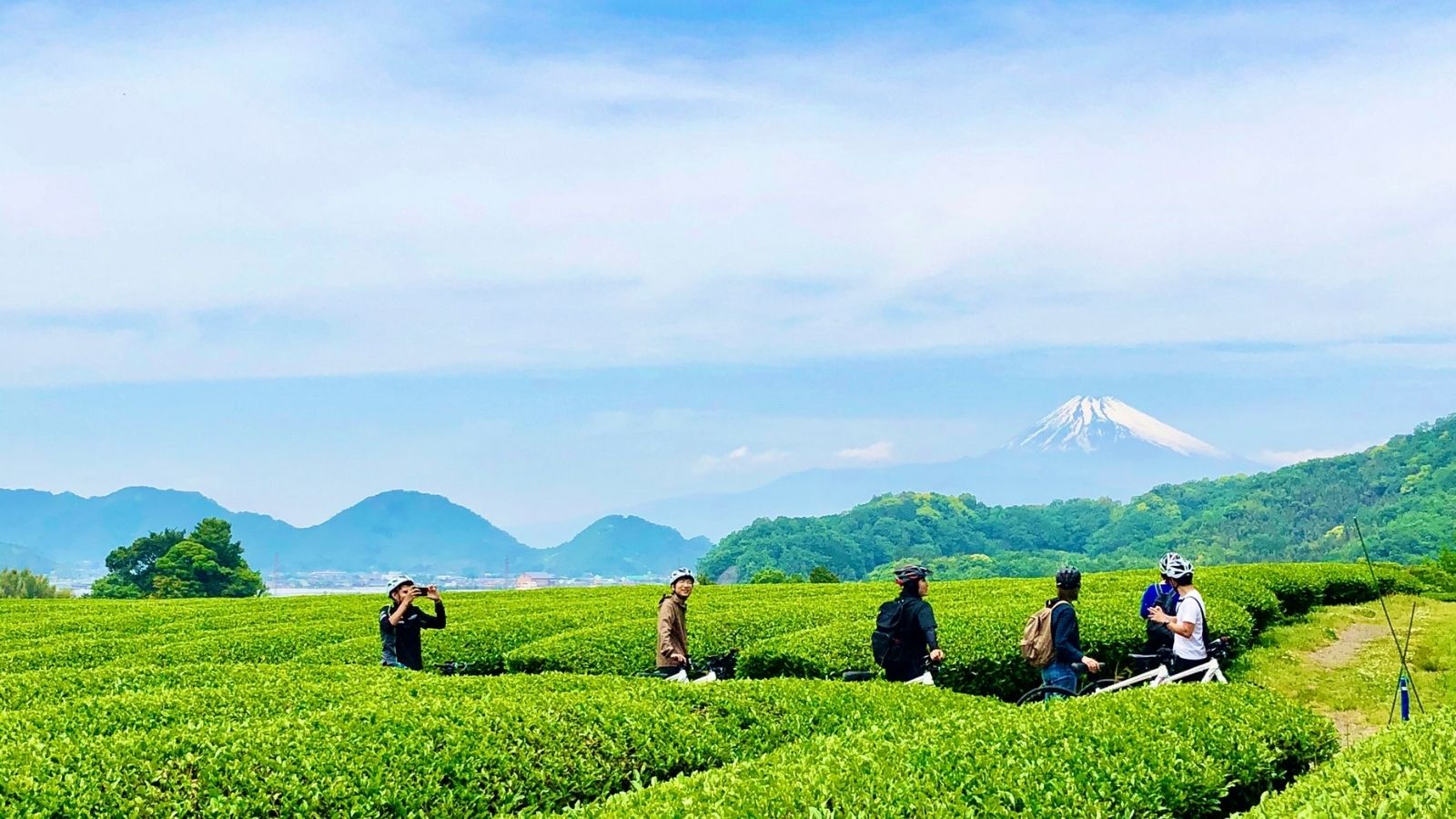 里山散走