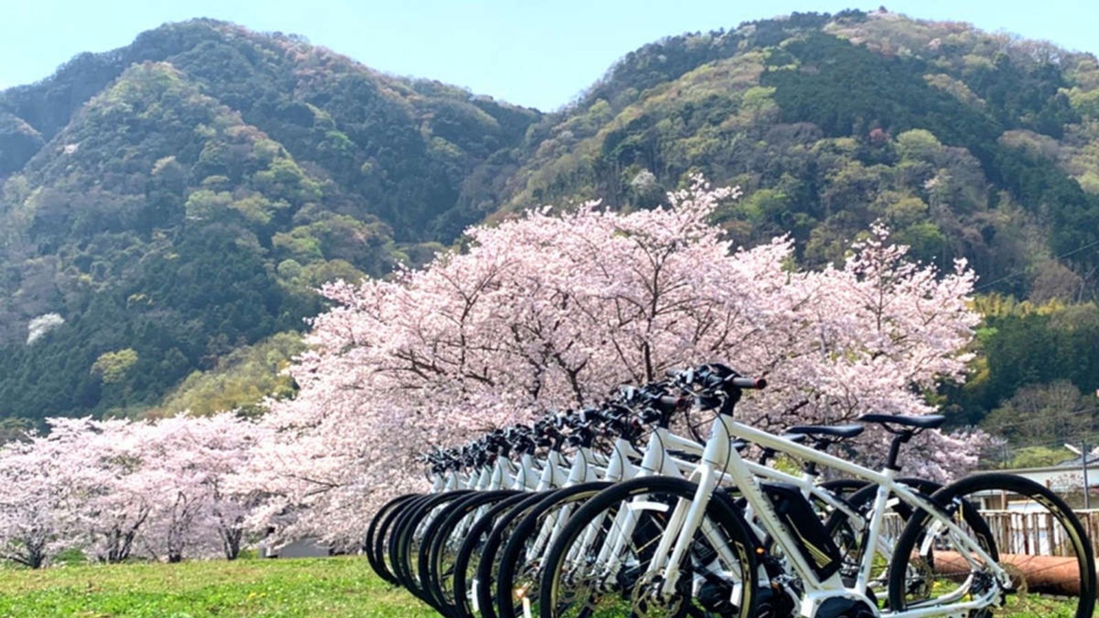 サイクリング