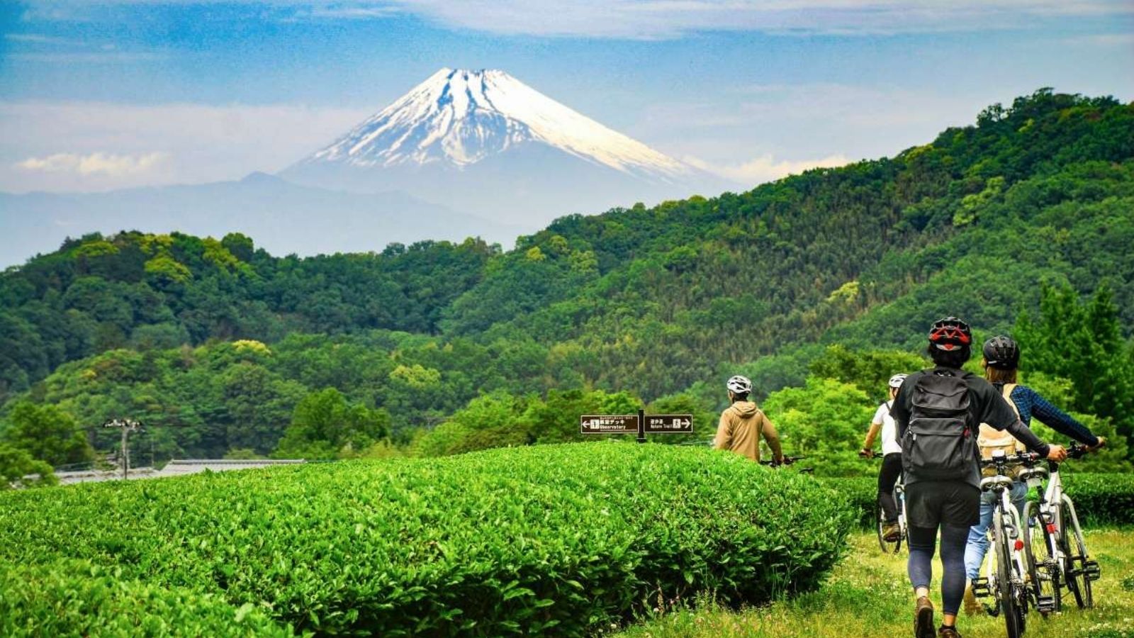 里山散走