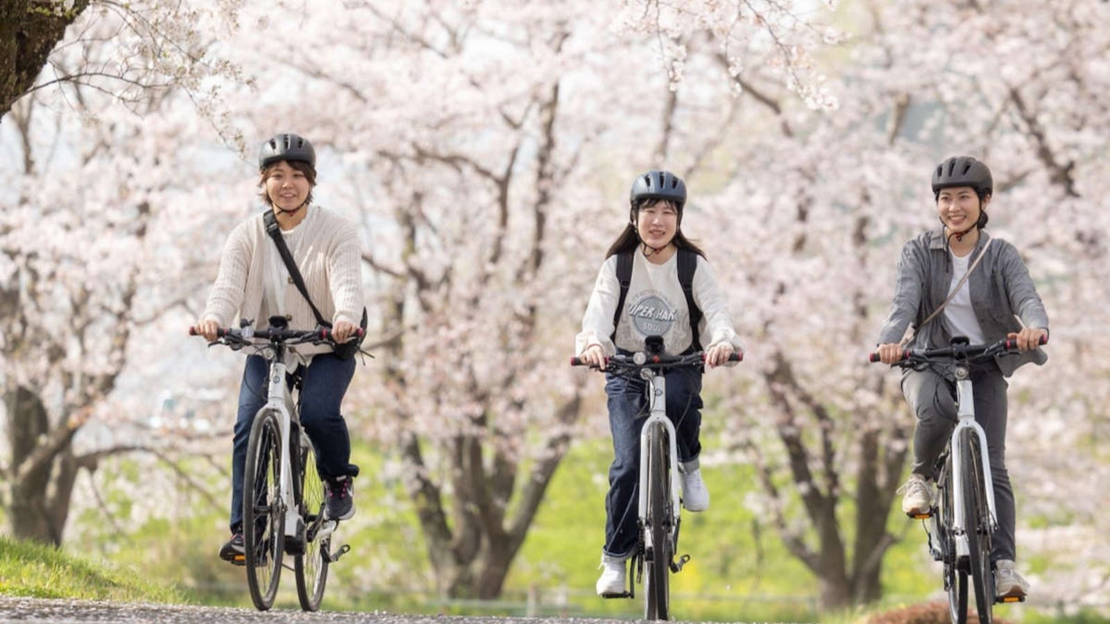 桜とサイクリング