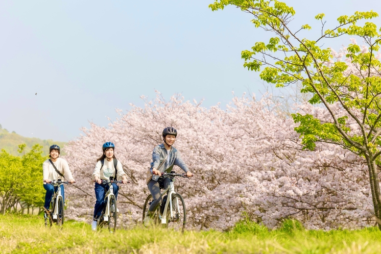 春のサイクリング