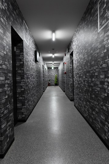 ときめきプラン