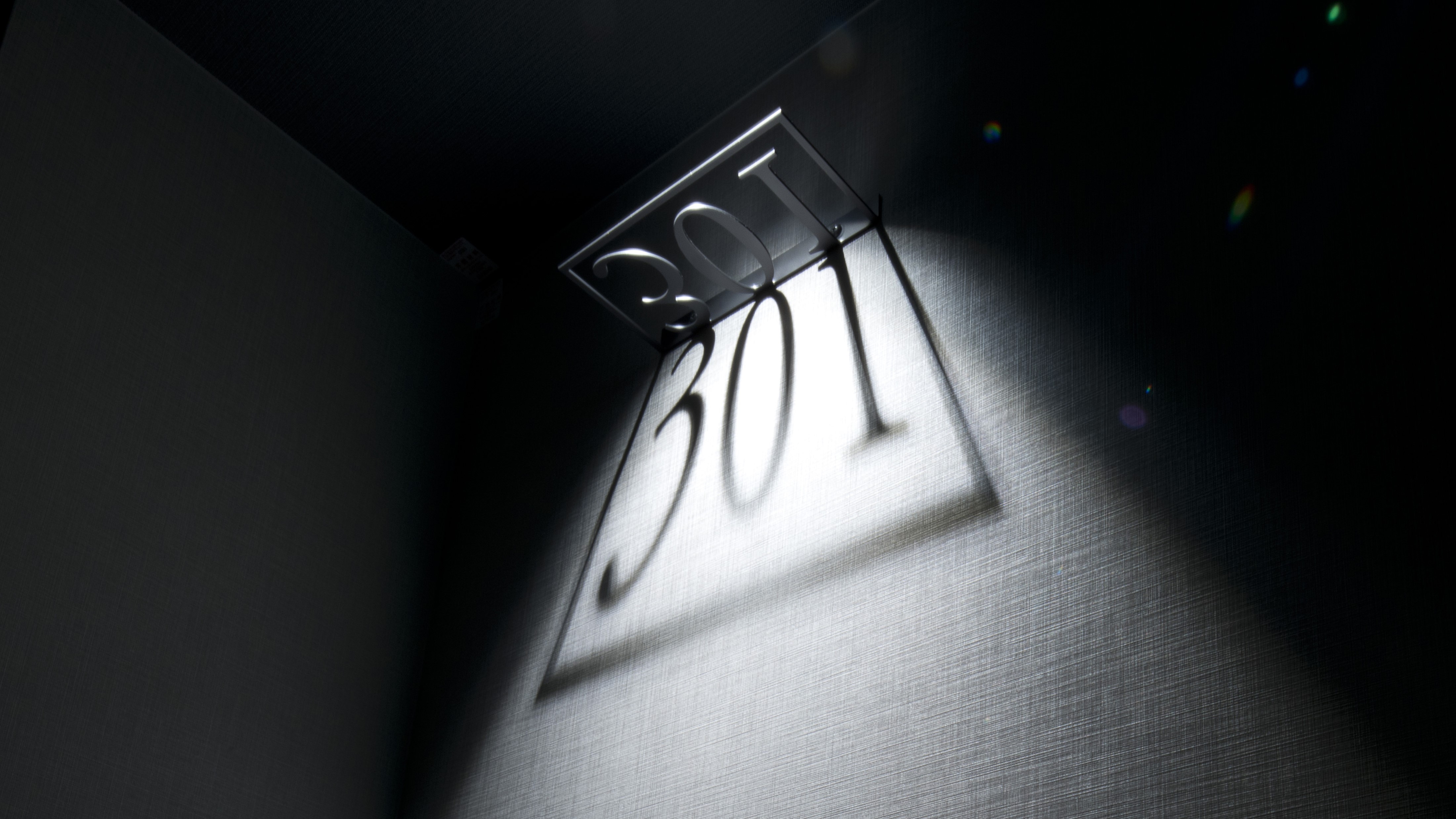 デザイナーズシングル+ロフトベット 301