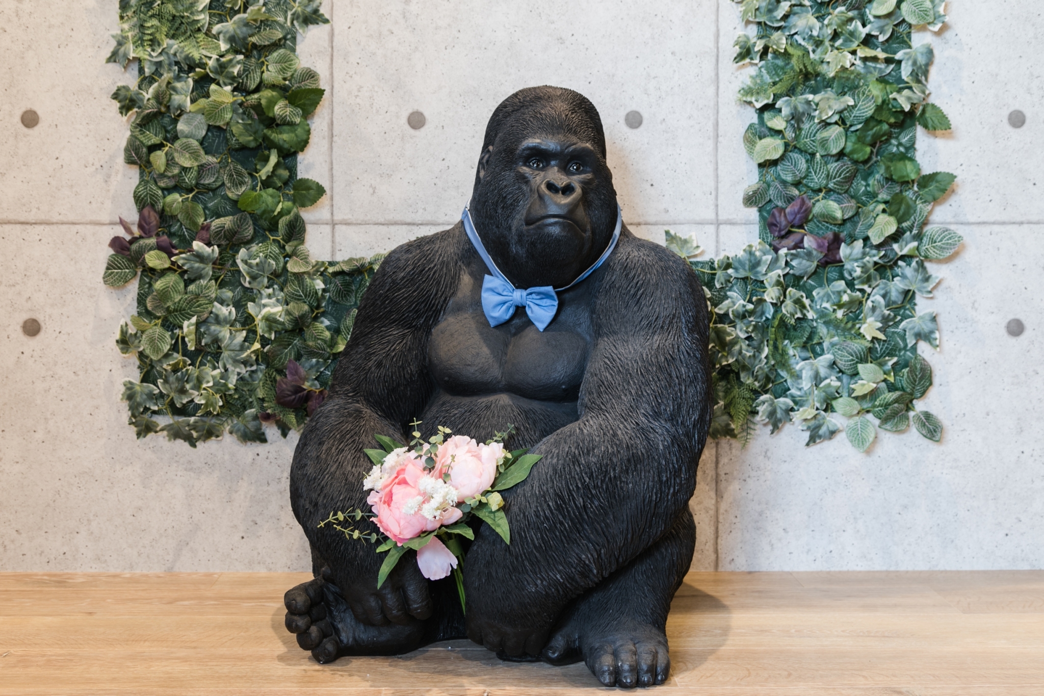 お宿 ゴリラ 設備 アメニティ 基本情報 楽天トラベル お宿 ゴリラ 設備 アメニティ 基本情報 楽天トラベル