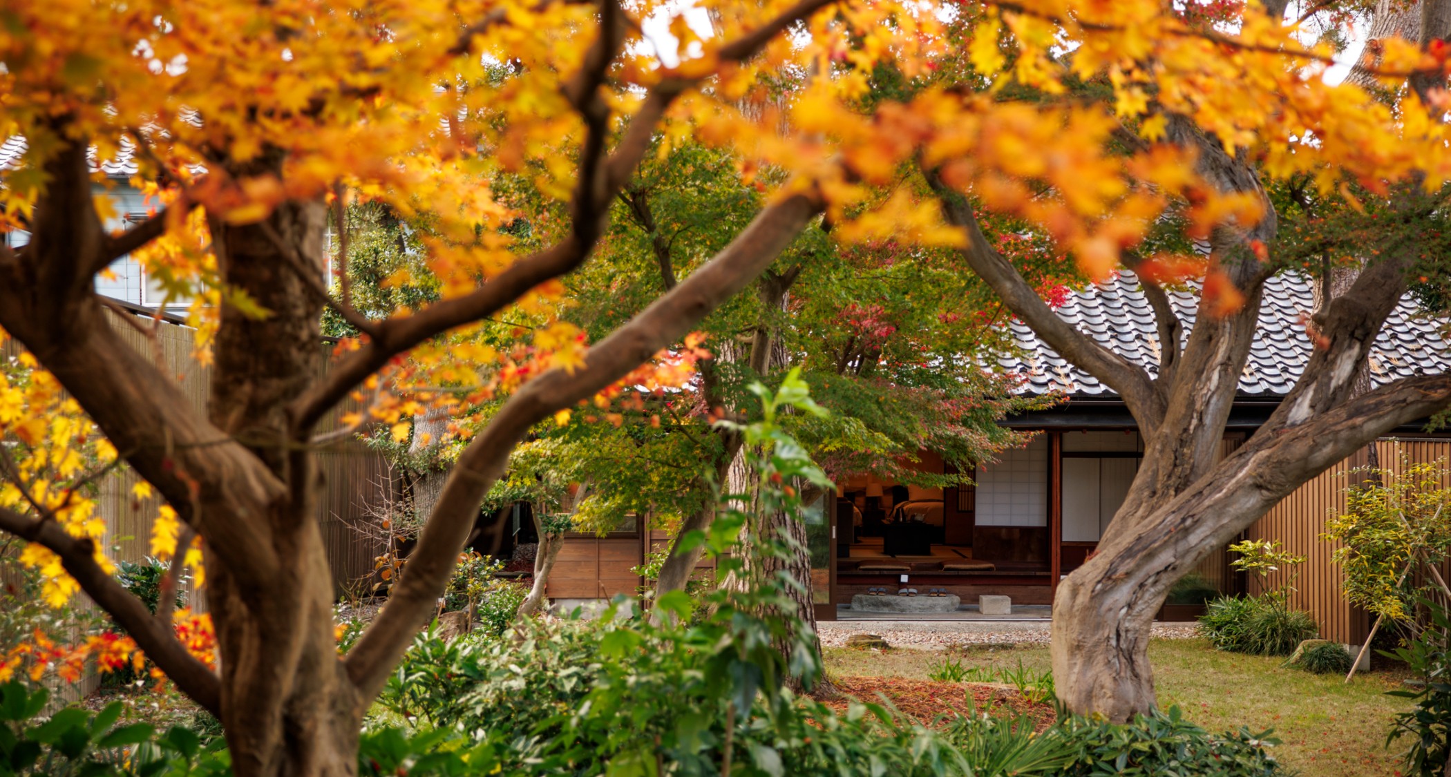 お庭（紅葉シーズン）　