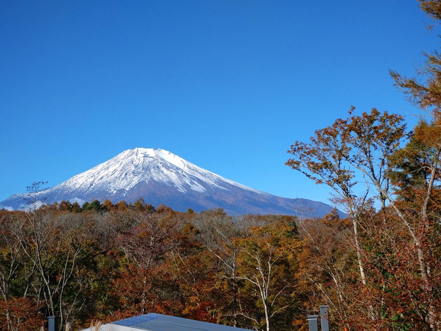 山中湖ハウスから見える富士山①