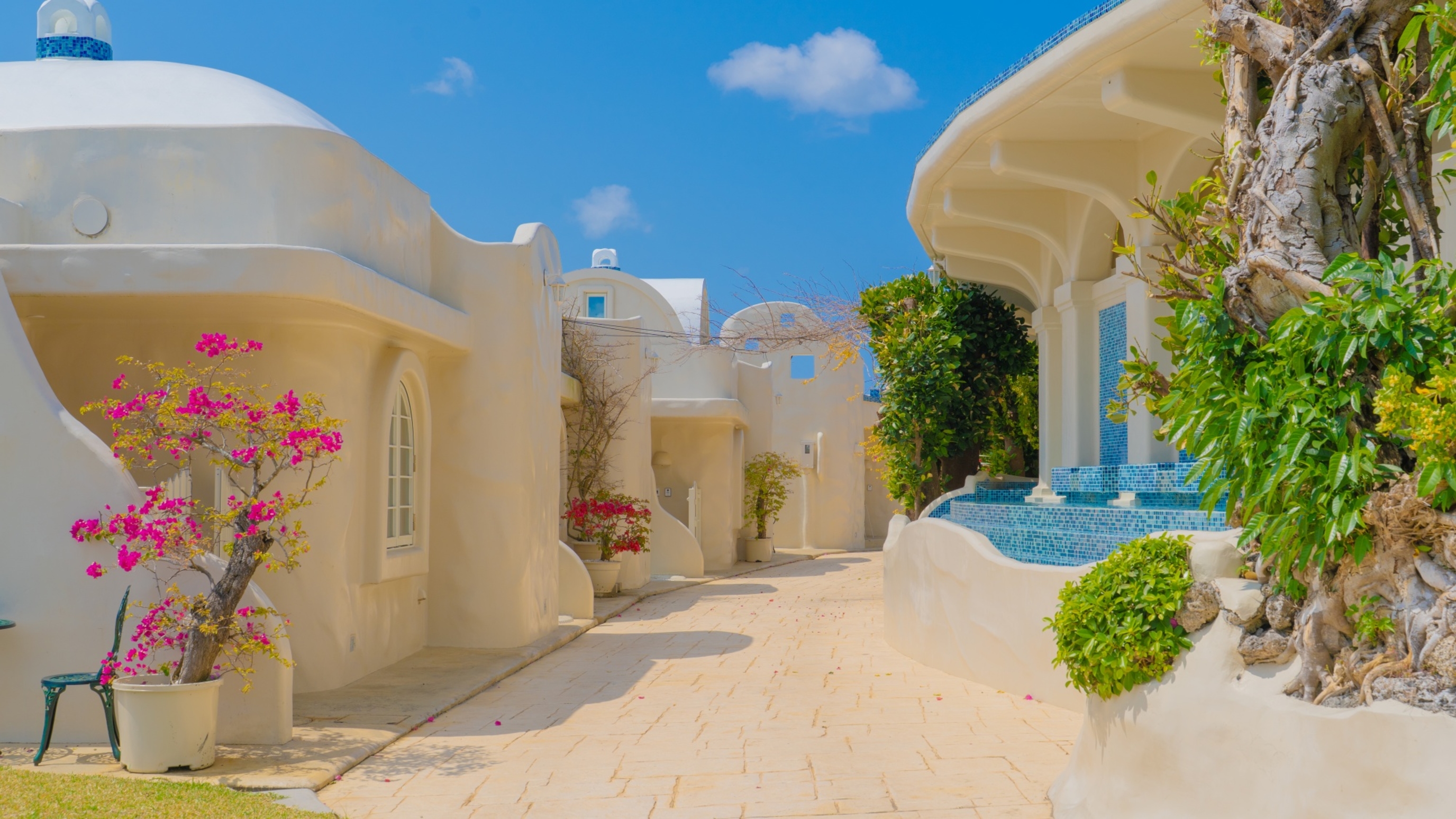 【超レア】YUKI 会報　コンプリート1〜50号　美品 プライベートヴィラ Yuki Suite Kourijima のレストラン・お食事