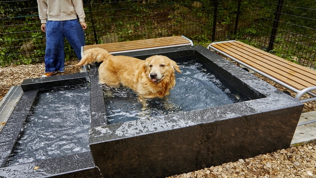 愛犬と一緒にお部屋でのんびり／客室かけ流し温泉／懐石料理お部屋出し
