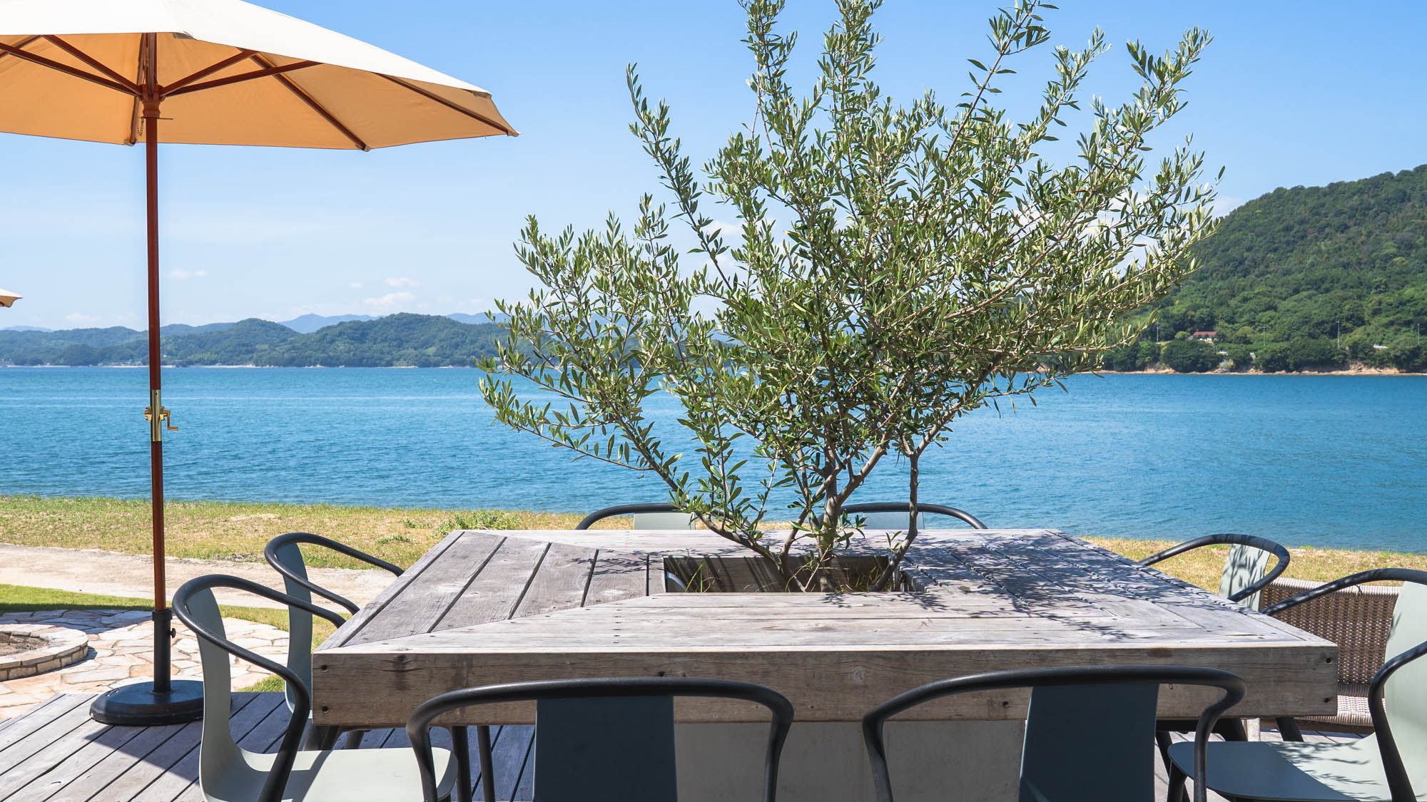 ・【CIELA】オリーブ囲むカウンターテーブルでリゾート感を満喫していただけます