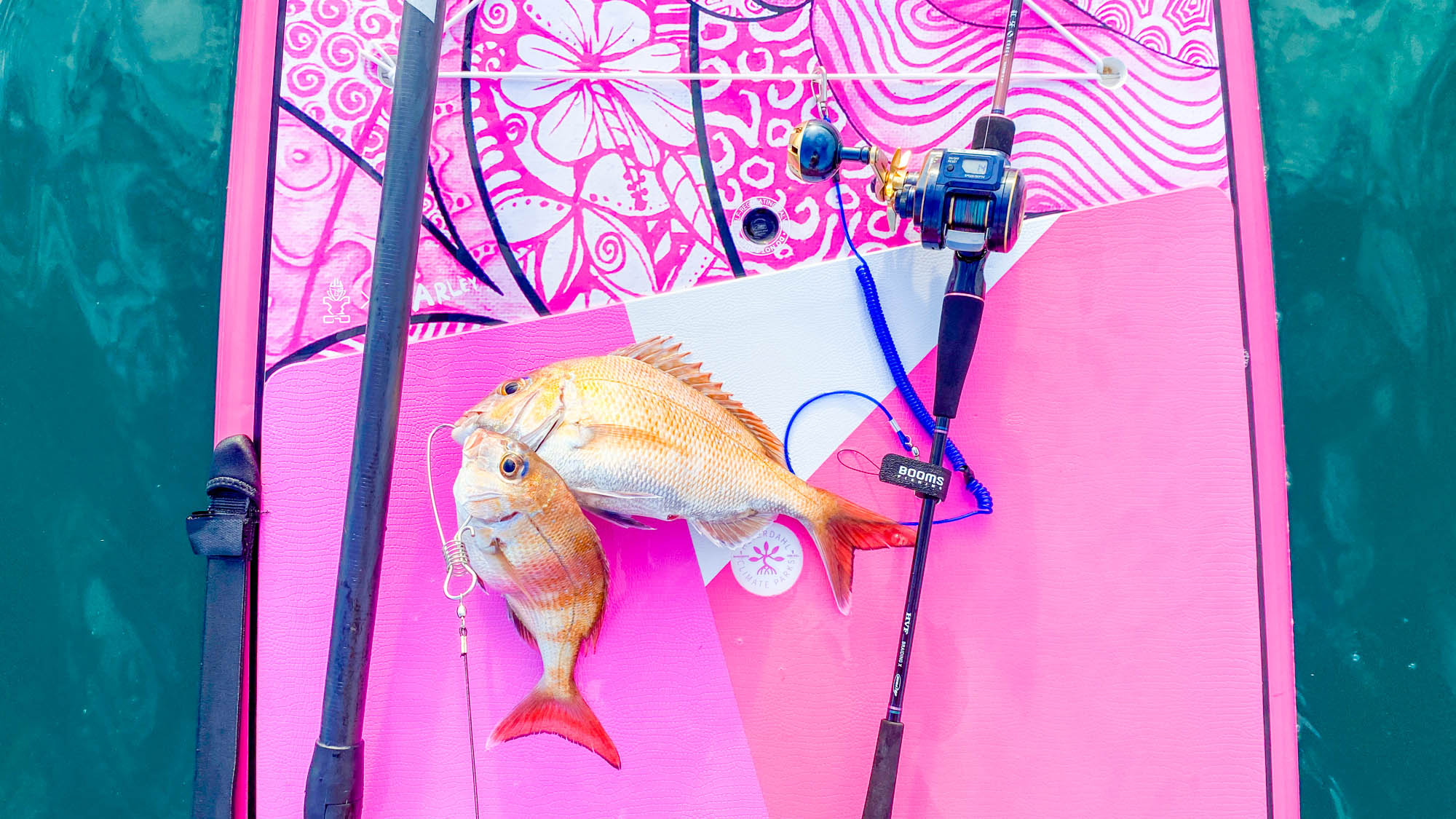 ・【SUP】瀬戸内海の美しい景色の中で、SUPフィッシングも楽しめます