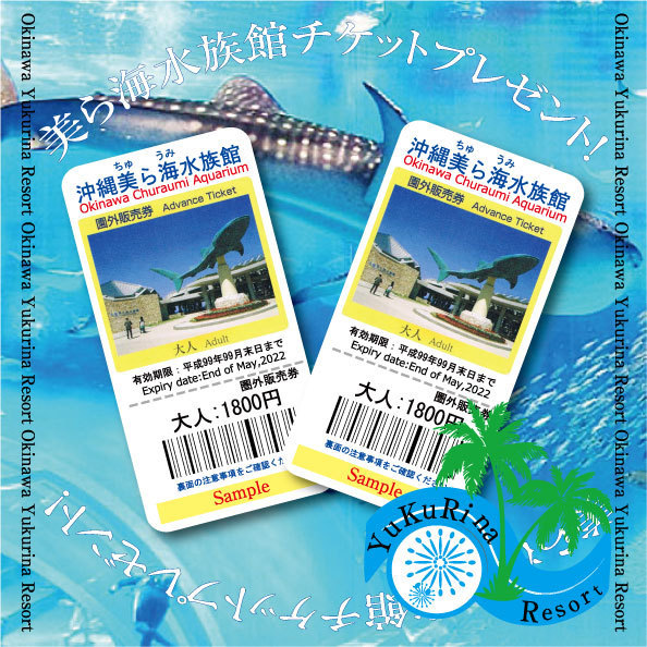 【得々セット】ブルーシールギフト＆美ら海チケット付きプラン