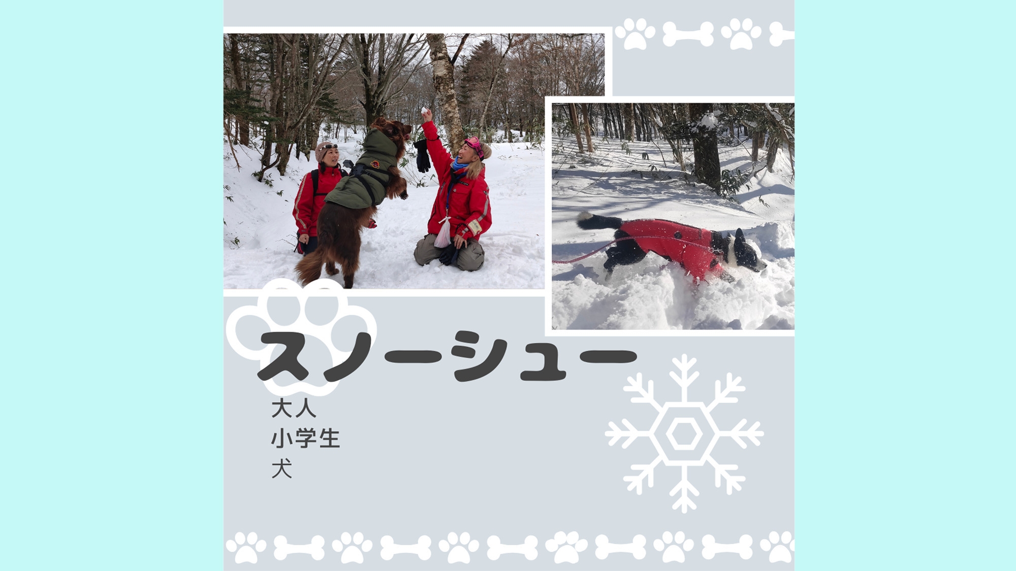 【冬季限定】雪原を歩く感動体験！愛犬と行くスノーシューツアー付きプラン★ガイド・レンタル込