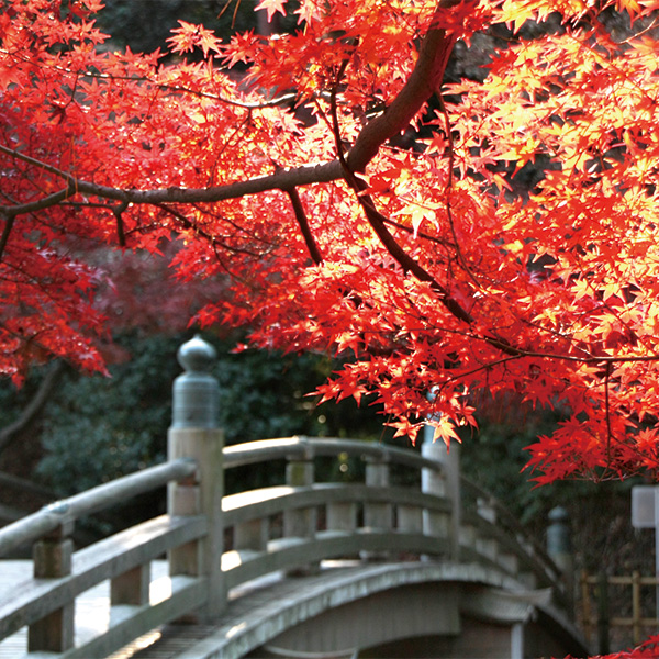 東公園