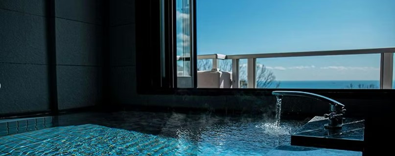 デラックスビューバス205