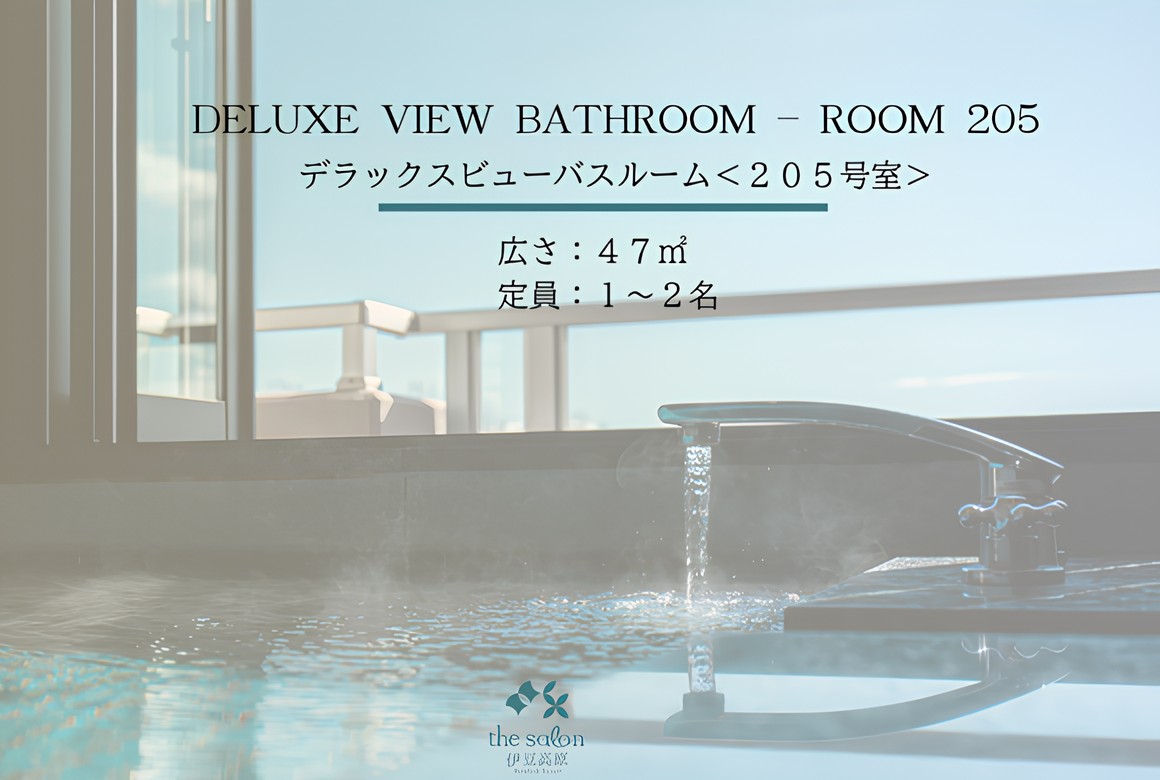 デラックスビューバス205