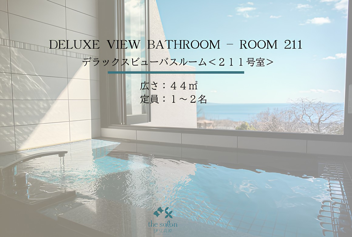 デラックスビューバス211