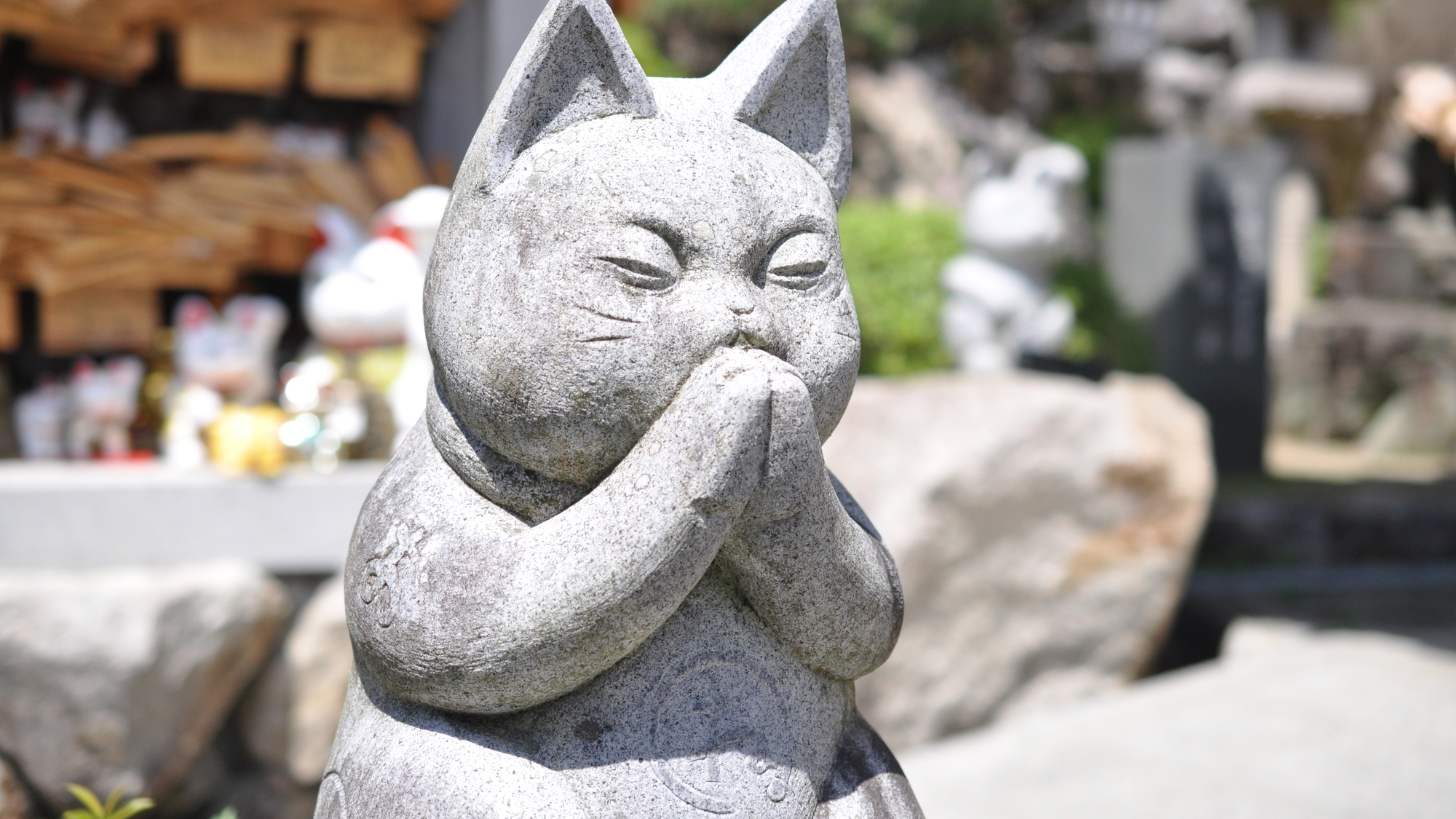 【当館から車で23分】勝負事の神様として信仰を集める、猫を祀った珍しい神社「お松大権現」