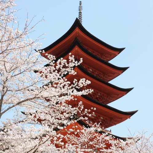 厳島神社　五重塔（写真提供：広島県）