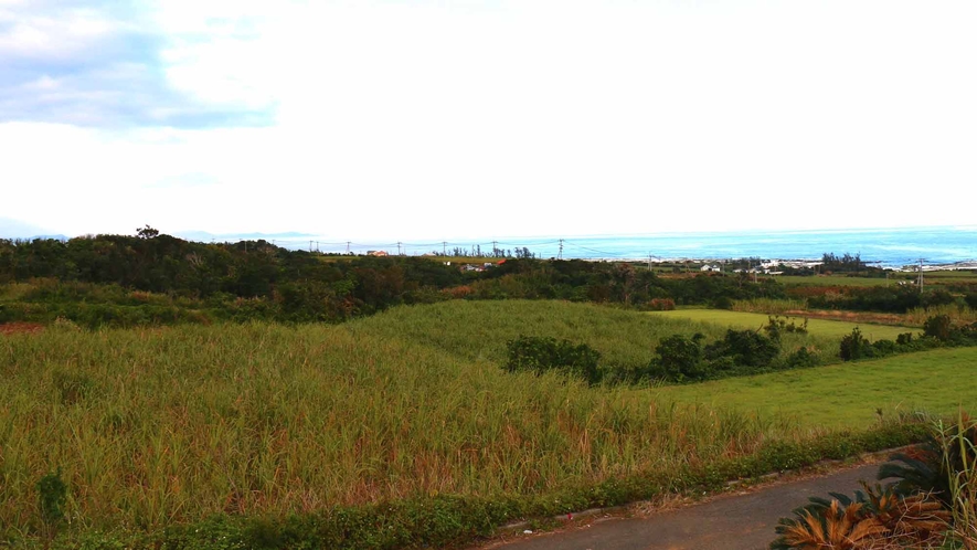 東シナ海を眺望できる場所にあります。さとうきび畑に囲まれたロケーションです！