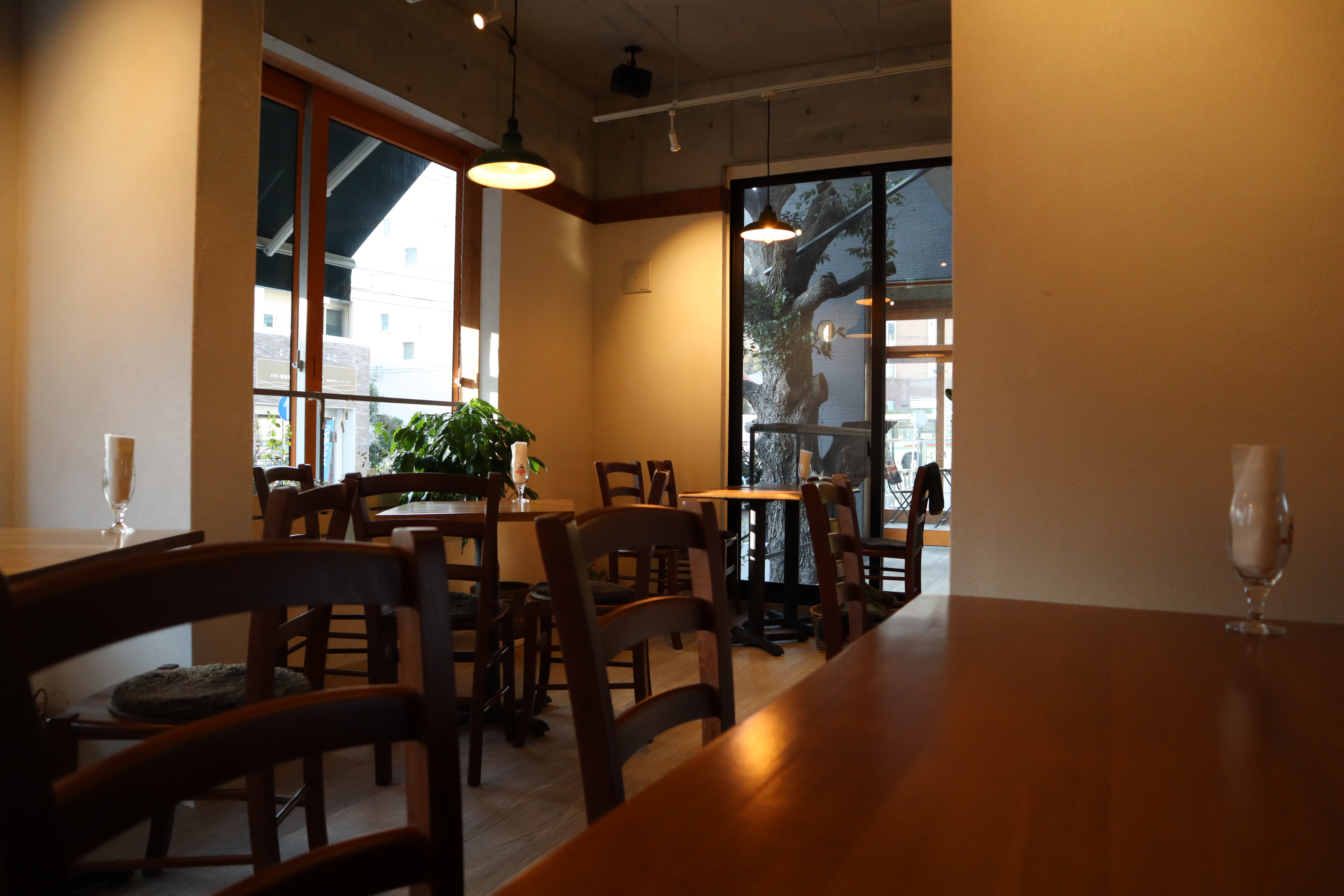 treeside / Cafe restaurant Salute　