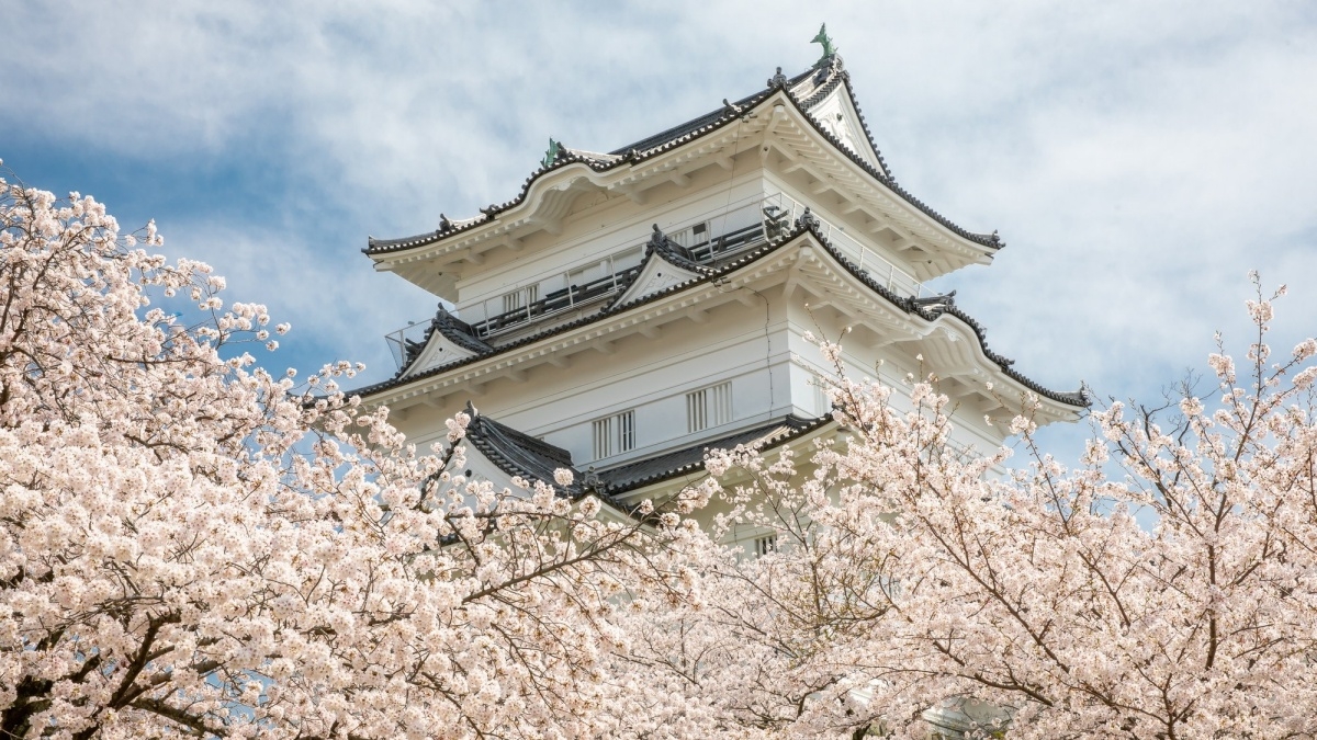 小田原中心部の格安ホテル 旅館 宿泊予約 神奈川県 楽天トラベル 小田原中心部の格安ホテル 旅館 宿泊予約 神奈川県 楽天トラベル