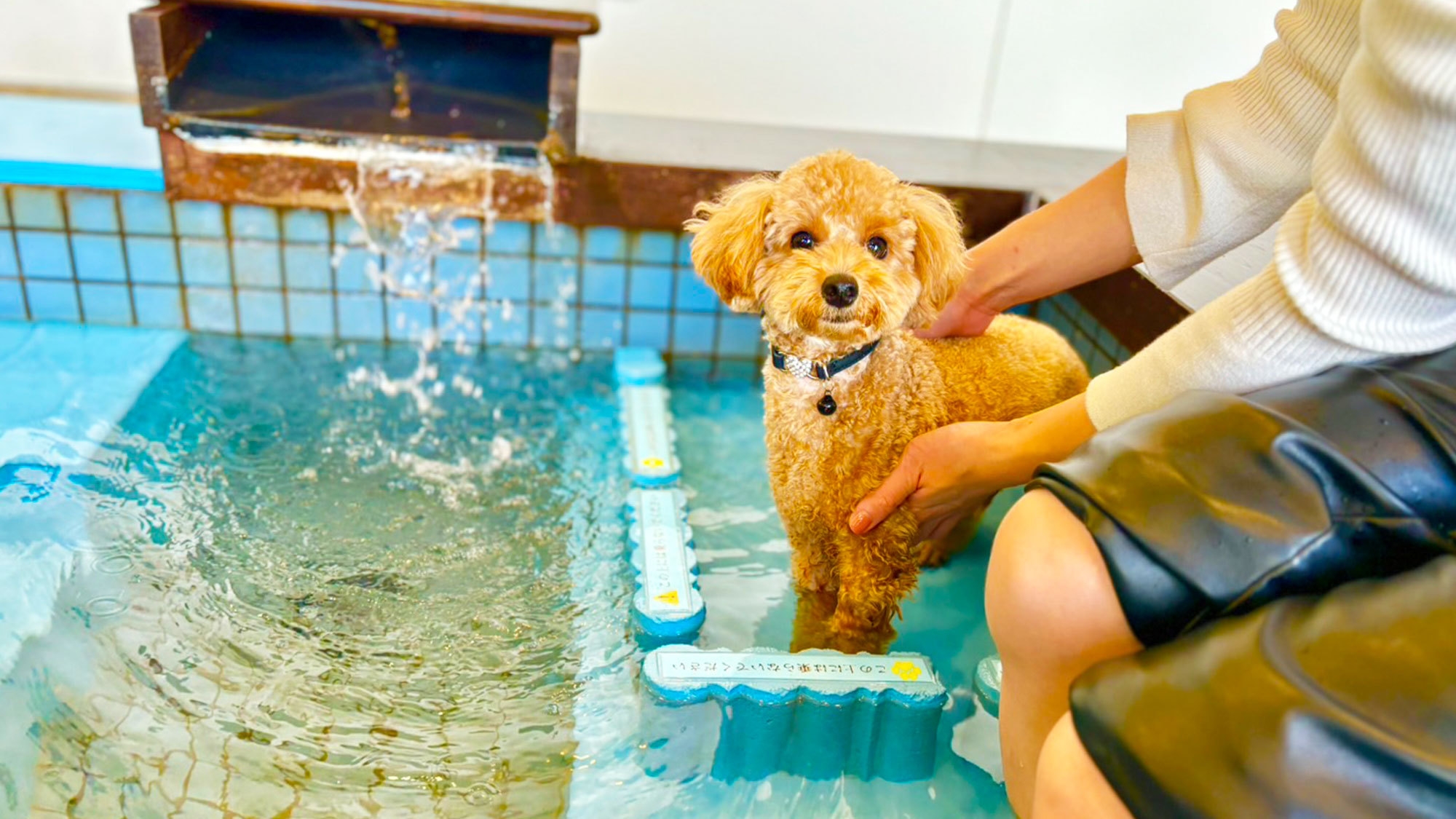 【直前割10％引×車海老まつり】早い者勝ち！天草産の車海老の活造りなど贅沢グルメをお得に楽しめる♪