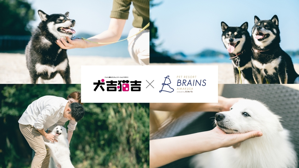 【犬猫ライフコラボプラン】4月5日＆6日限定！20％OFF＆ペット撮影会あり♪＜スタンダード料理＞