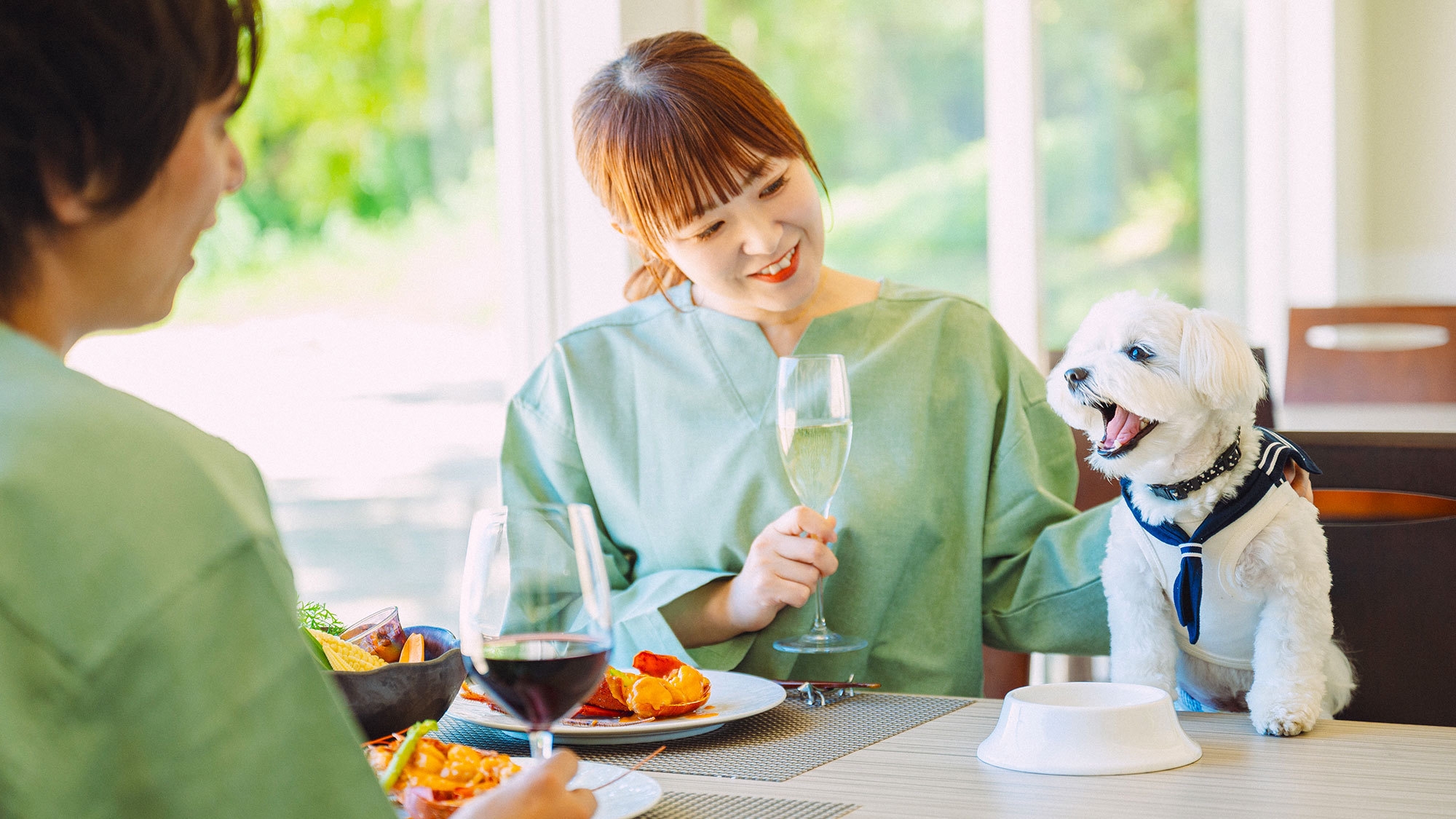 【2連泊×スタンダード】連泊割でお得にペットと旅行♪日替わりコース料理を堪能＜オールインクルーシブ＞
