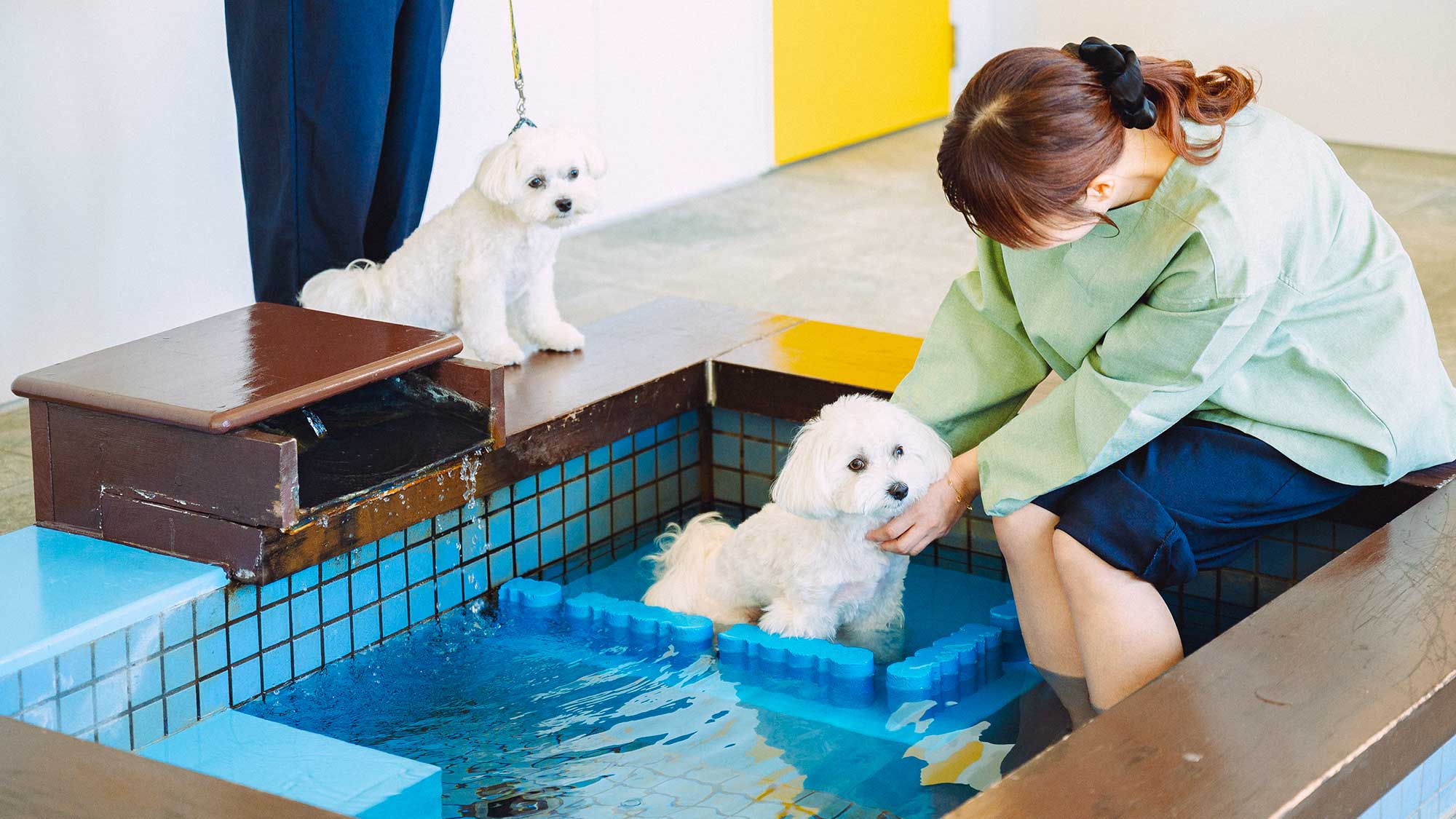 【ペット温泉】レストラン内にペット専用温泉が完成！肌に優しい源泉かけ流し温泉でワンちゃんもゆったり♪