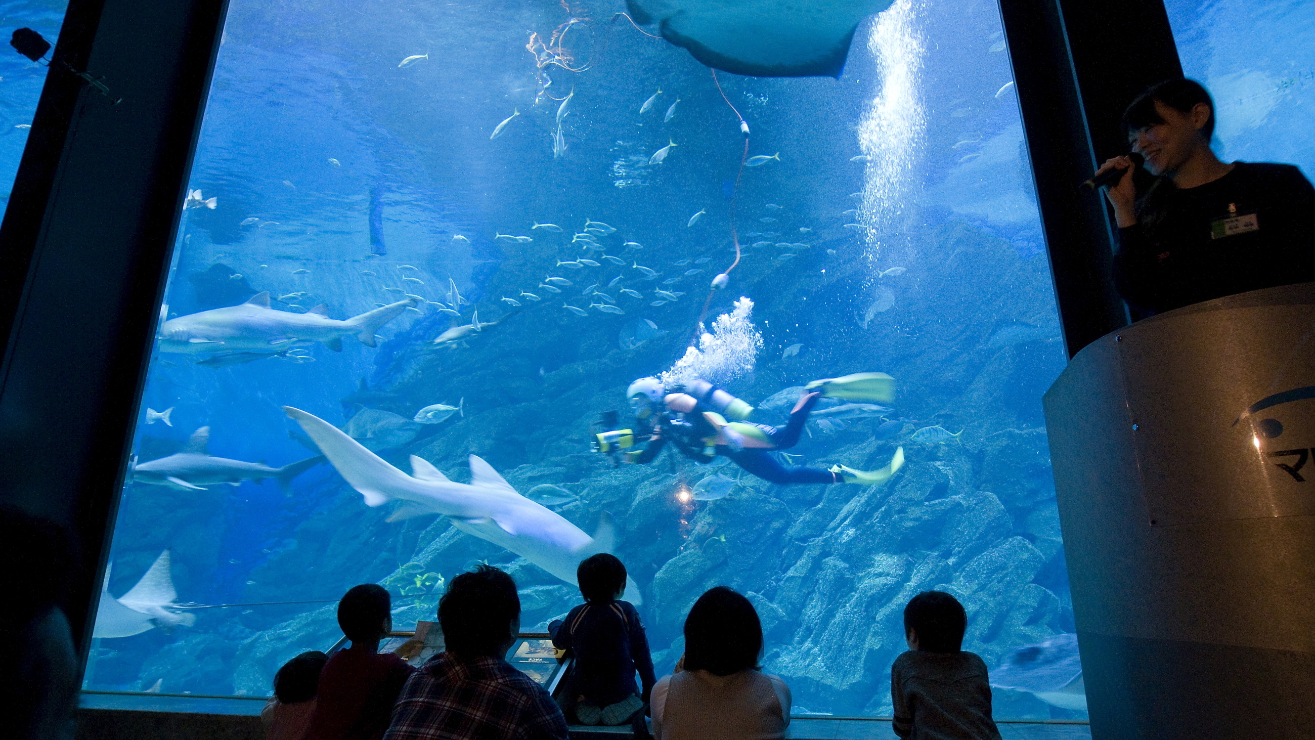 【マリンワールド海の中道】九州の海を再現した水槽が人気！[写真提供：福岡市]