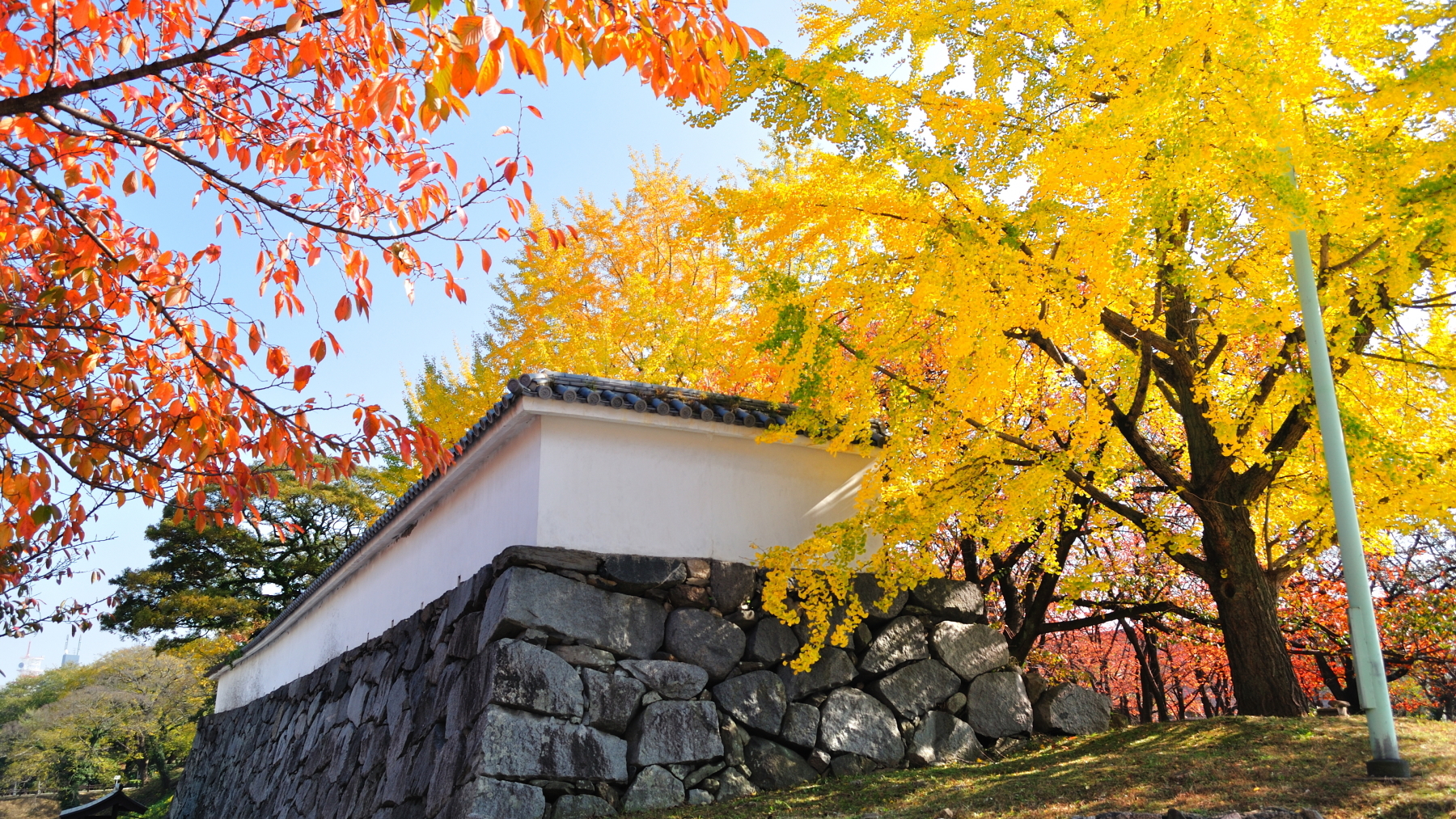 【福岡城跡の紅葉】秋には紅葉もお楽しみいただけます！[写真提供：福岡市]