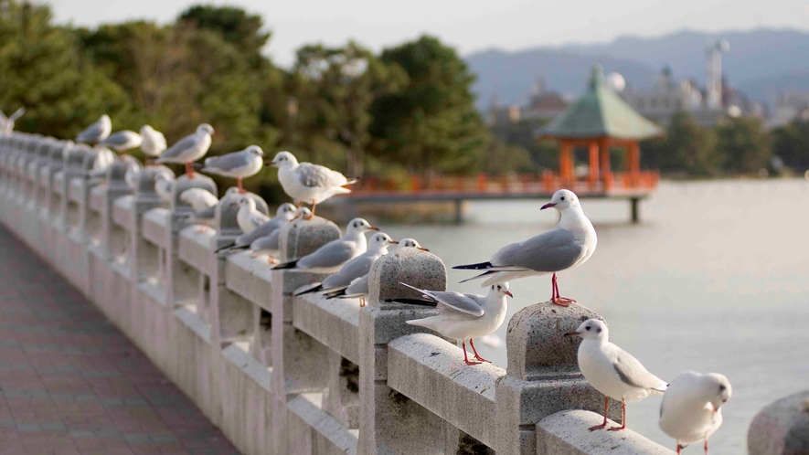 【大濠公園】全国有数の水景公園です。地元民の憩いの場としても人気♪[写真提供：福岡市]