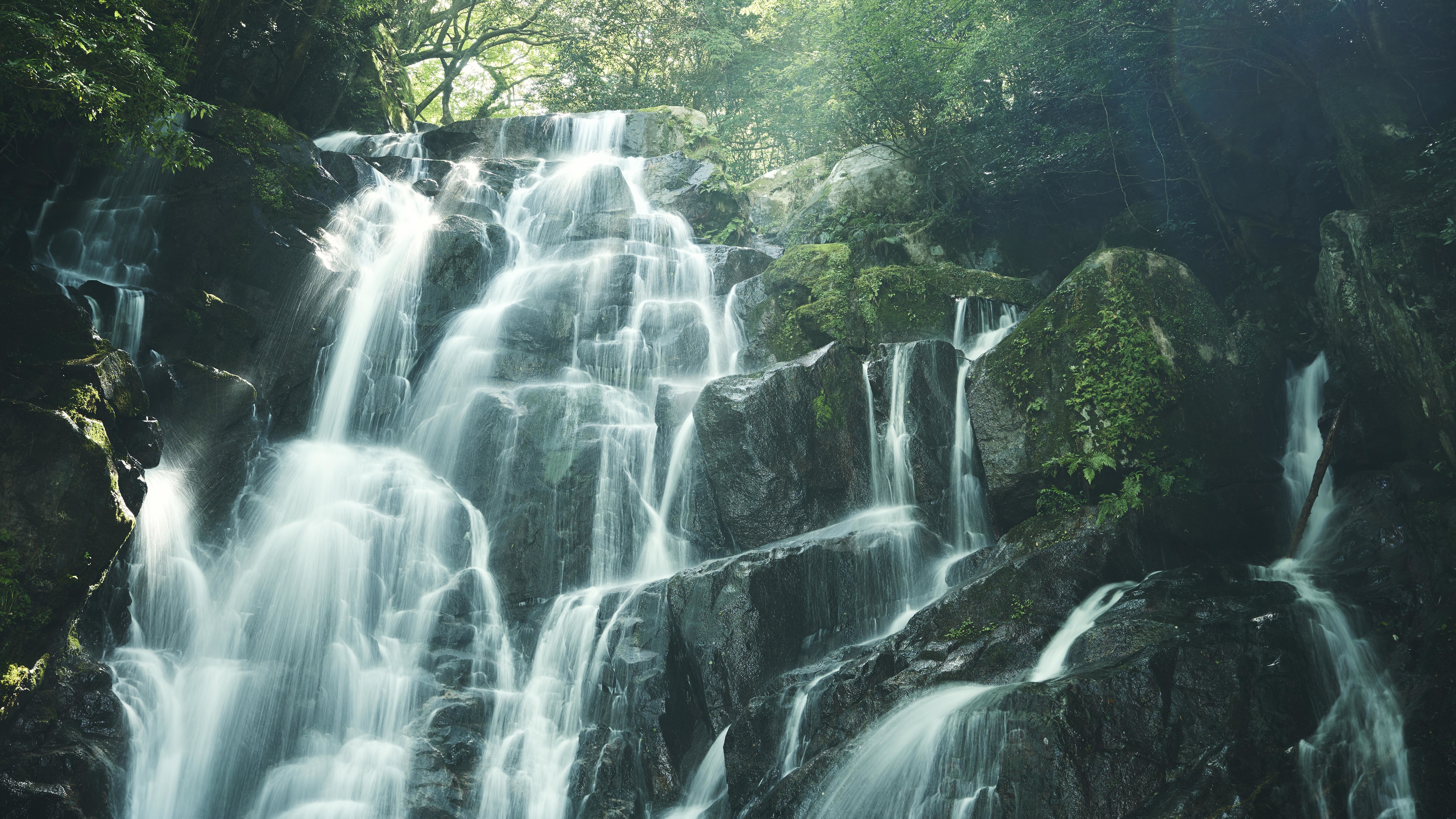 【白糸の滝】高さ24mから流れてくる滝は繊細ですが迫力もあります。[写真提供：福岡県観光連盟]
