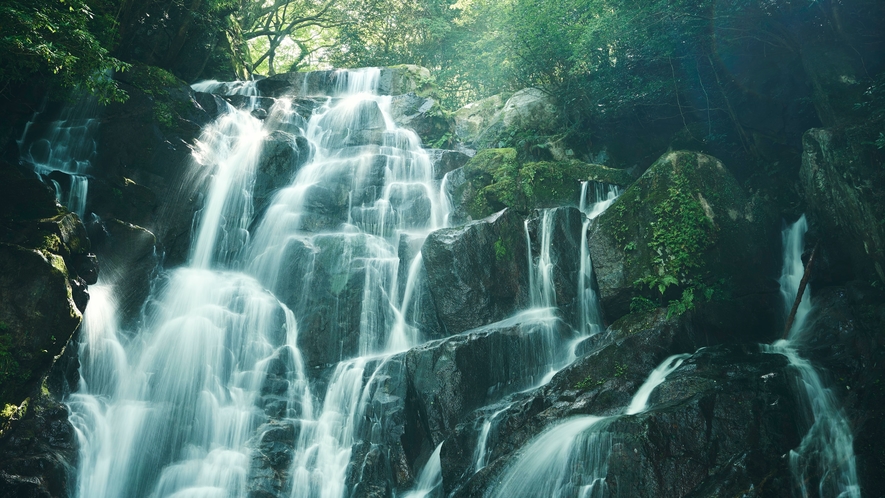 【白糸の滝】高さ24mから流れてくる滝は繊細ですが迫力もあります。[写真提供：福岡県観光連盟]