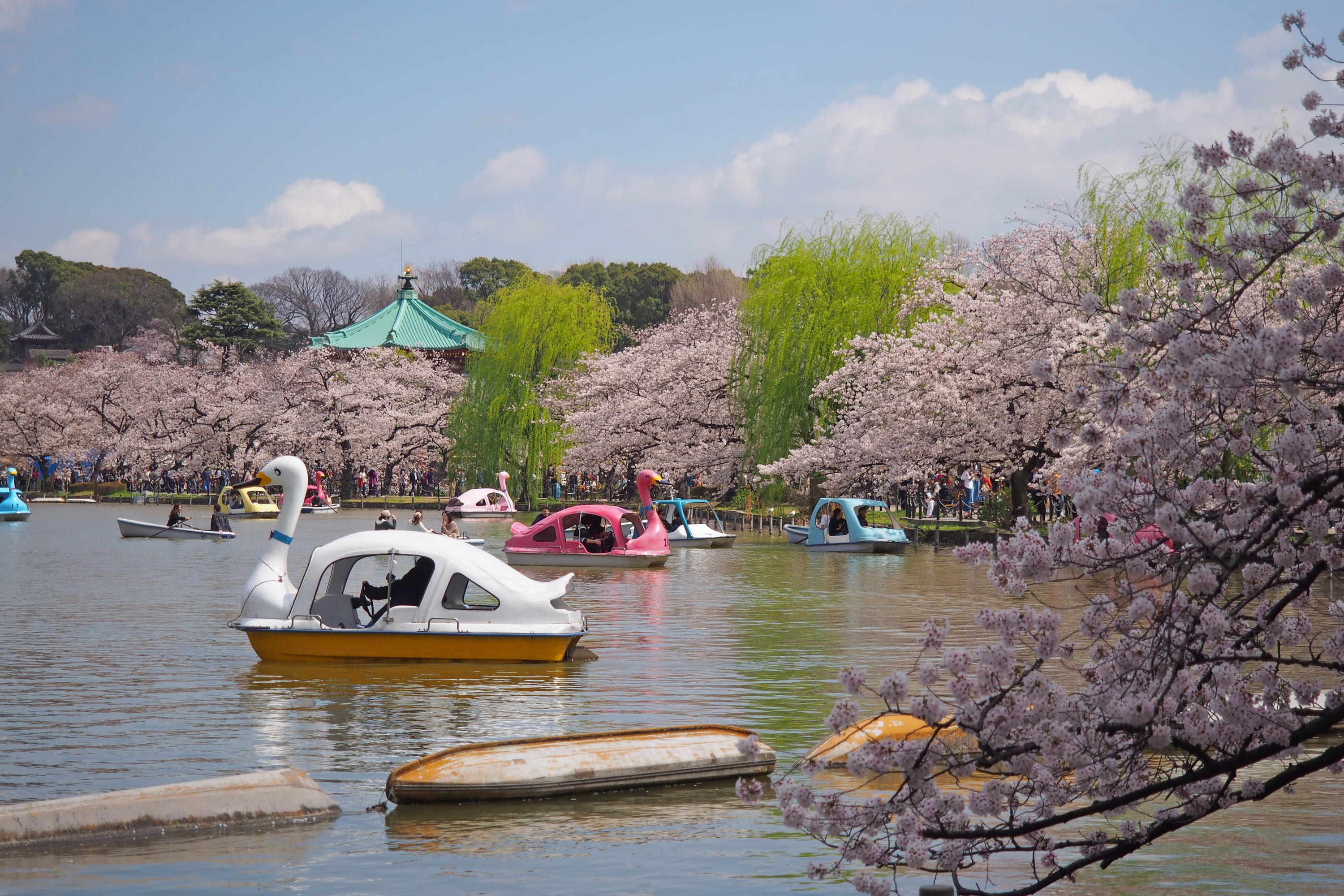 上野恩賜公園(車12分/地下鉄18分)　[写真提供:台東区]