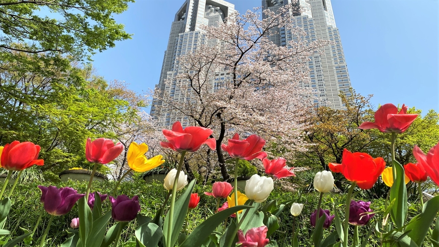 東京都庁