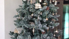 クリスマスツリー