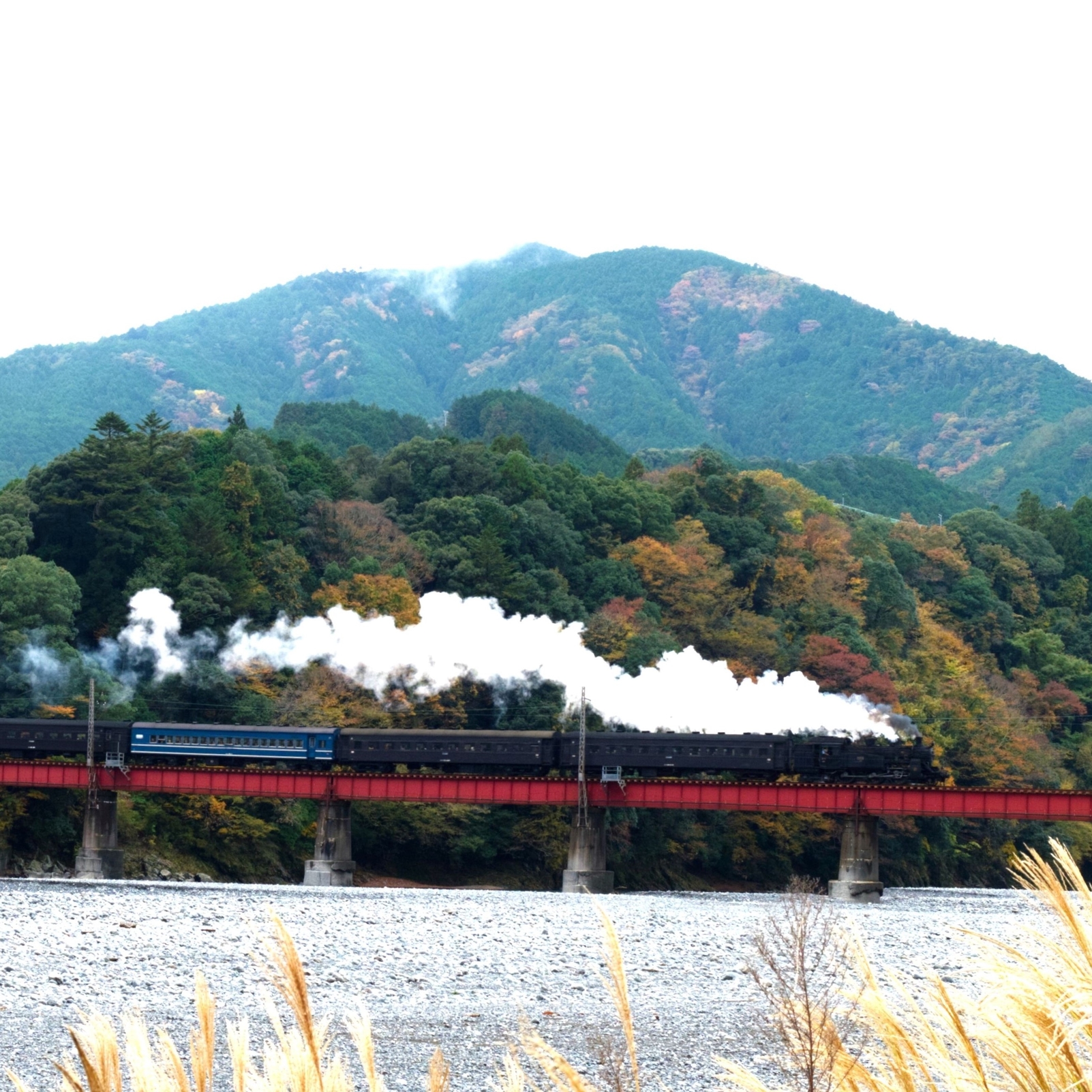 slが見える宿 大井川鐵道 川根温泉ホテル 設備 アメニティ 基本情報 楽天トラベル slが見える宿 大井川鐵道 川根温泉ホテル 設備 アメニティ 基本情報 楽天トラベル