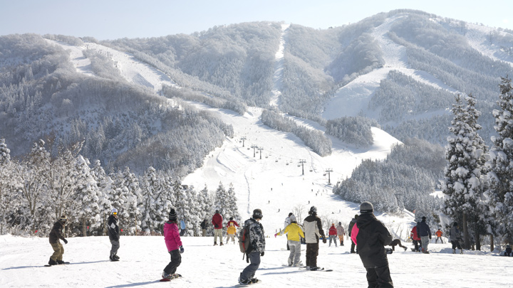 【スキージャム勝山】白山連峰に包まれた 西日本最大級のビッグゲレンデ！