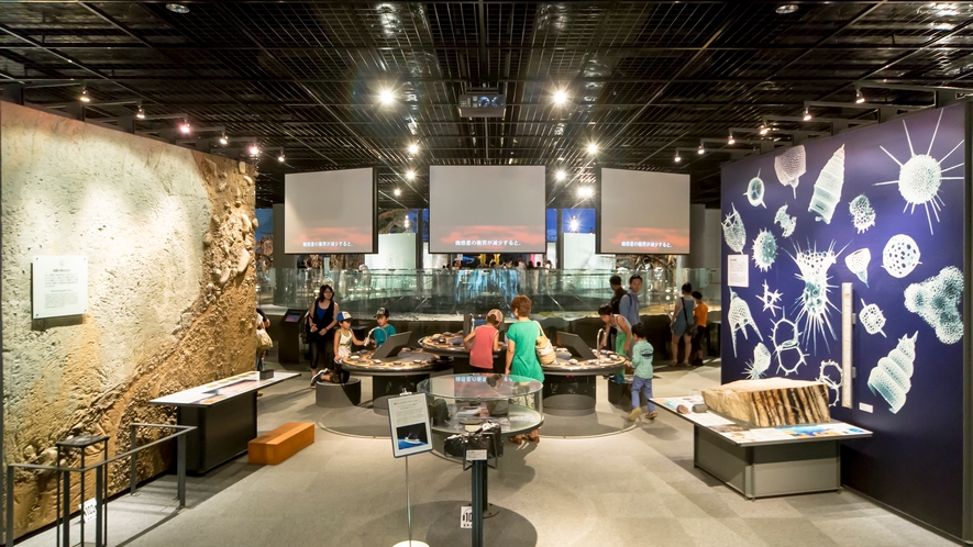 福井県立恐竜博物館　国内最大級の恐竜博物館です。恐竜骨格や標本などをご覧いただけます。
