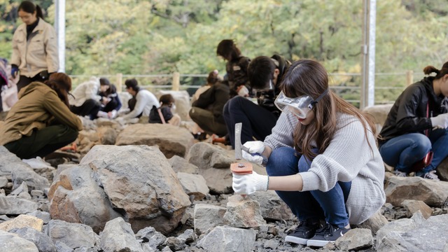 【野外恐竜博物館】発掘現場から持ってきた石を叩く発掘体験！