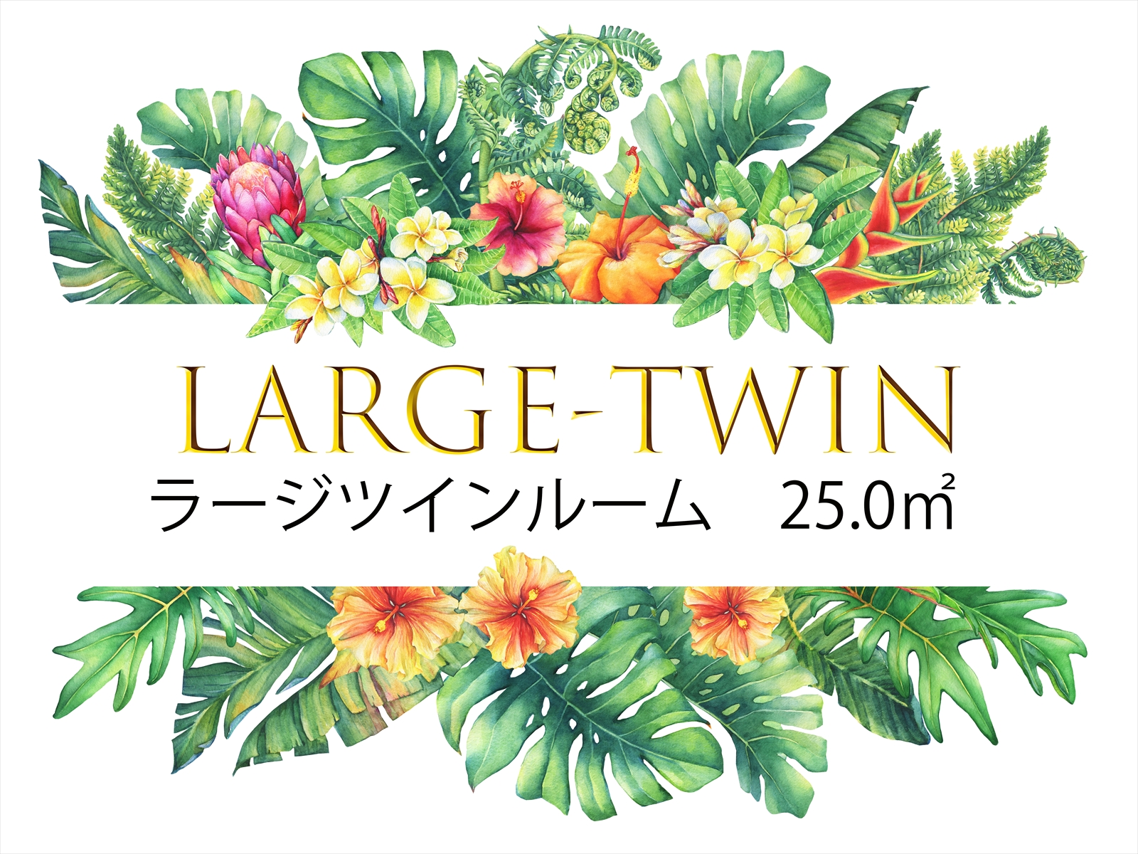 【ラージツイン】ゆったり25㎡・定員3・ダブルとシングル各1台ずつ・Wi-Fi、キッチン、家具家電