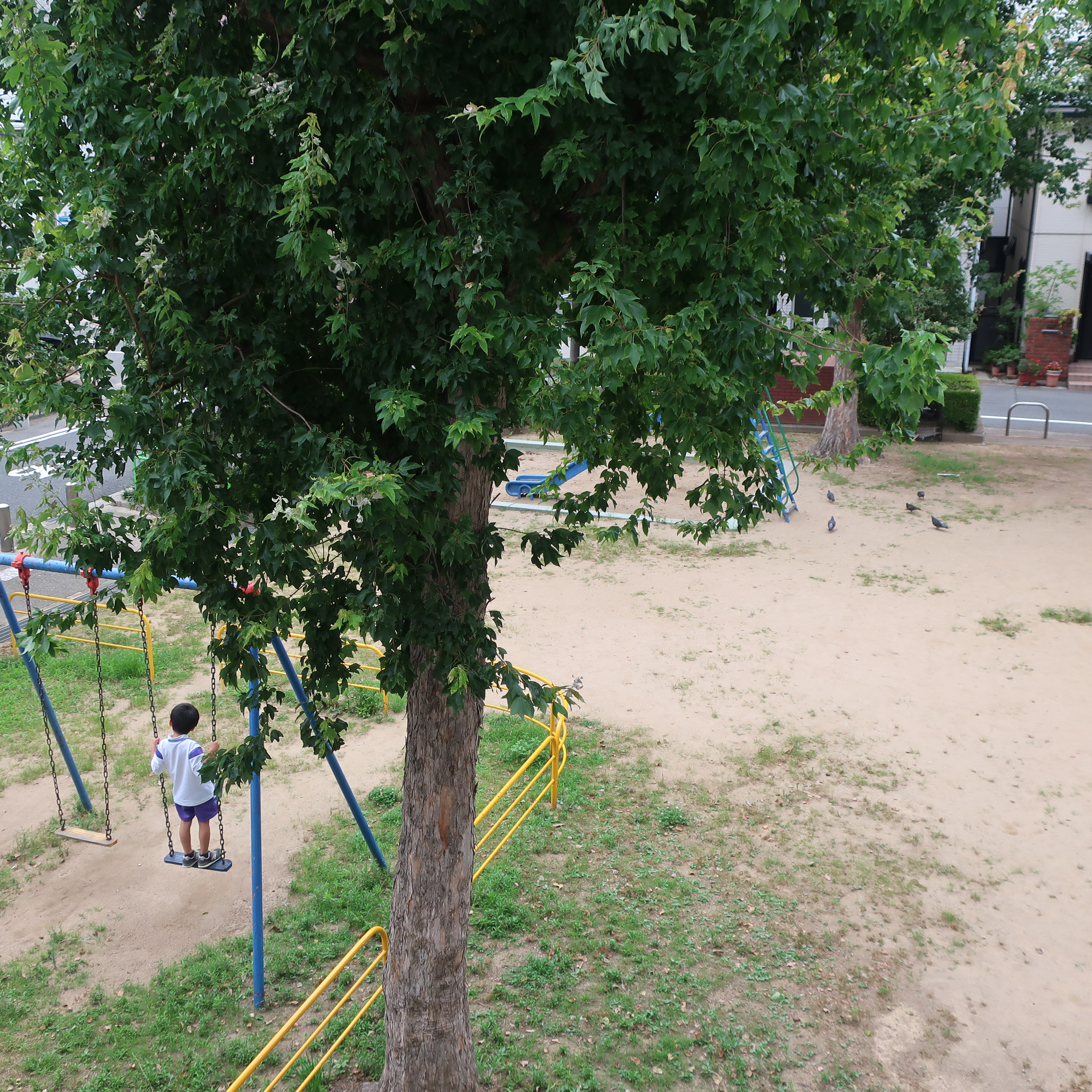 琴ノ緒公園