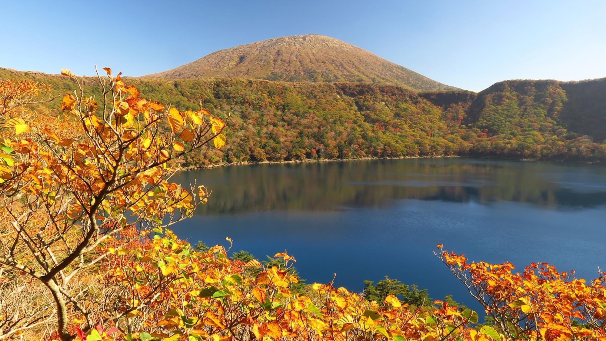 【紅葉彩る霧島の大自然】1日3室限定｜美食と露天風呂に身を委ね、厳選された一杯を愉しむ＜2食付＞
