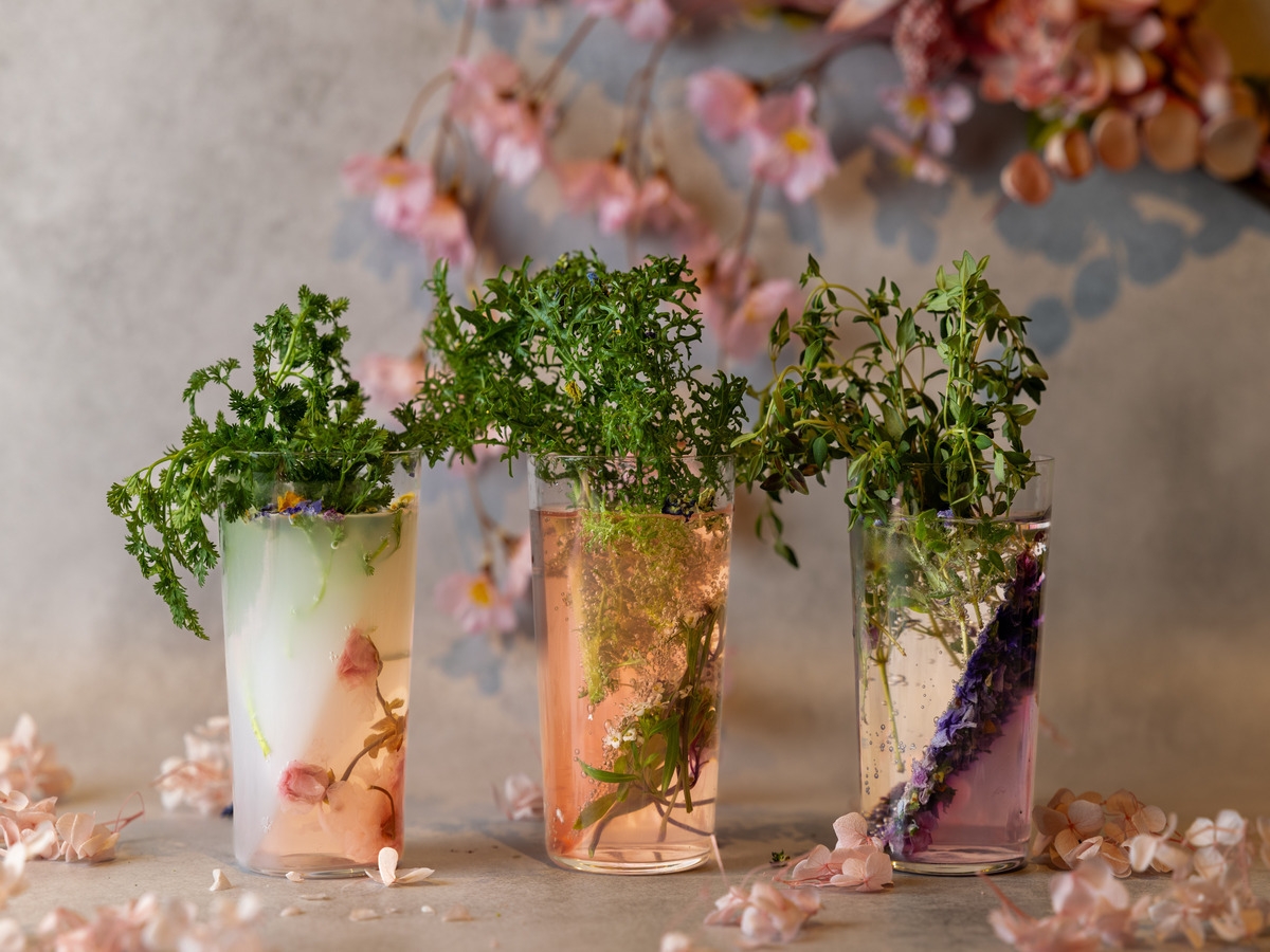 【2025春限定】花咲く春を表現した３種類から選べるカクテル付き（朝食付き）