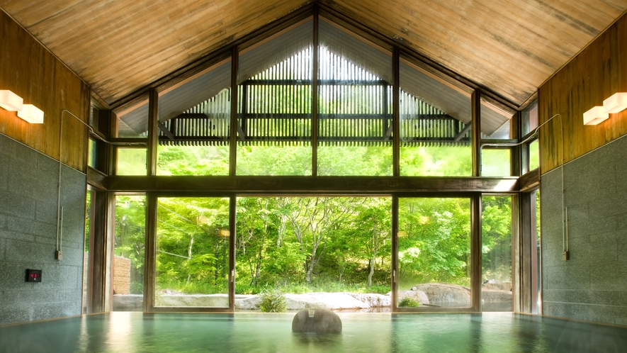 星野温泉 トンボの湯