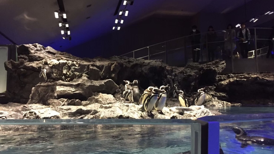 【すみだ水族館】最寄駅：とうきょうスカイツリー（浅草駅より東京スカイツリーライナー）