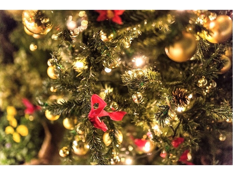 【期間限定】Xmasプラン〈2食付〉